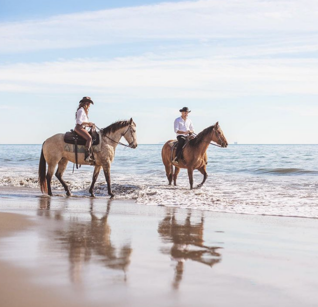 Beach Rides – Los Padres Outfitters